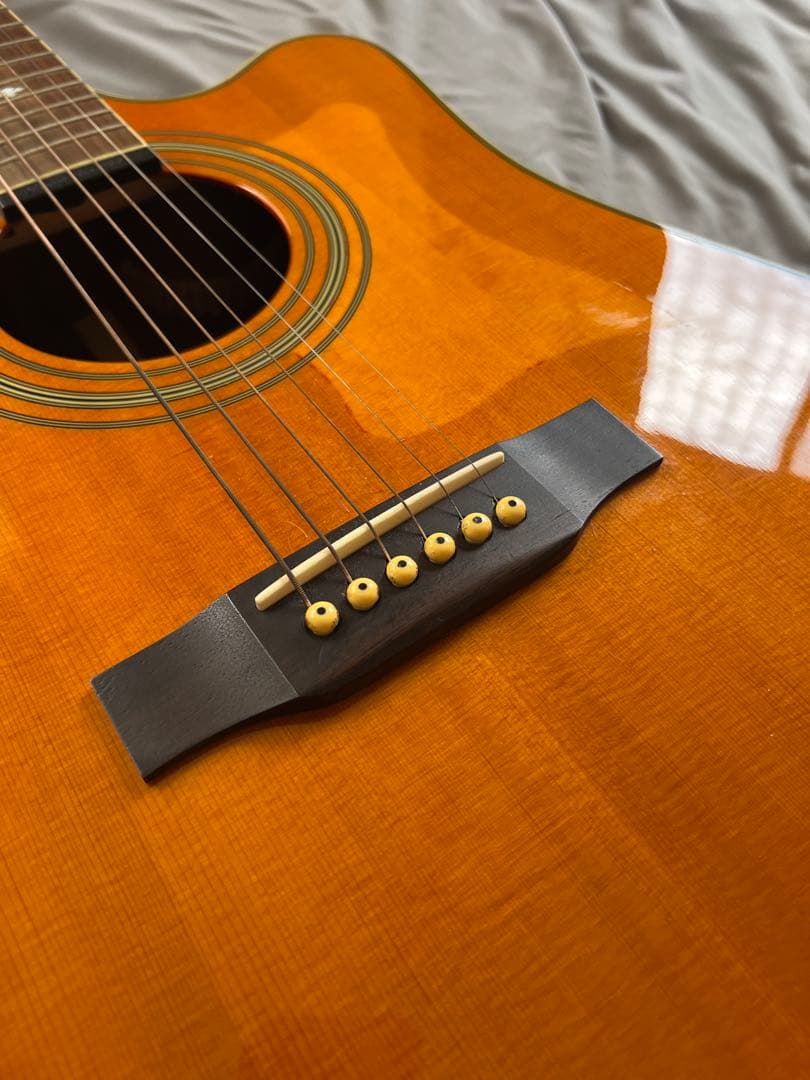 Epiphone Masterbilt DR500 MCE + ソフトケース