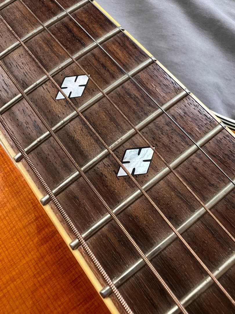 Epiphone Masterbilt DR500 MCE + ソフトケース