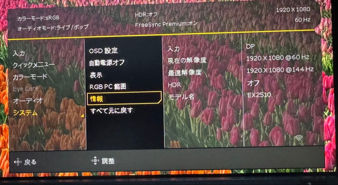 BenQ MOBIUZ EX2510 144Hz モニター スタンドなし 使用少