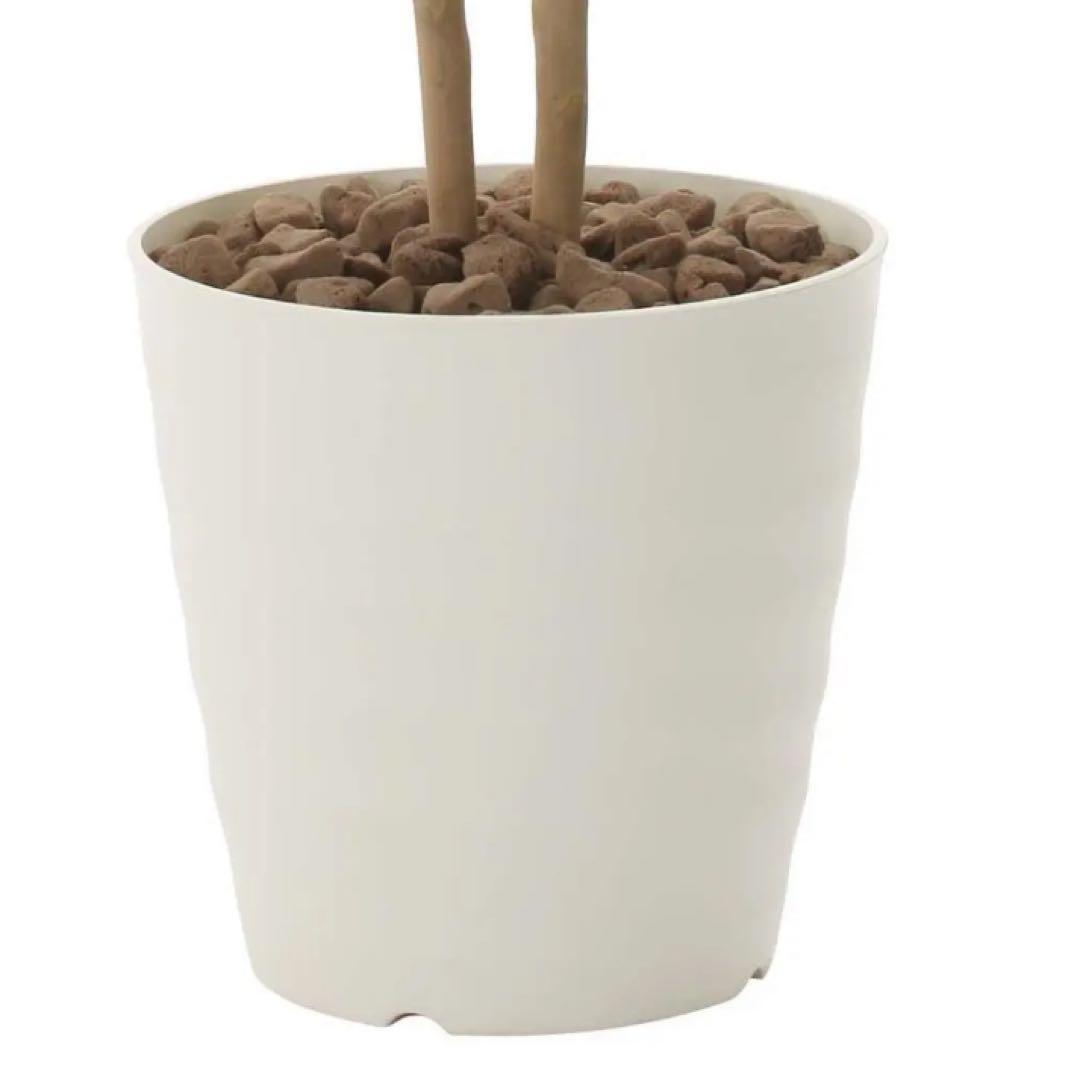 光触媒　人工観葉植物　ウォールグリーン　ゴールデンリーフ1.8h