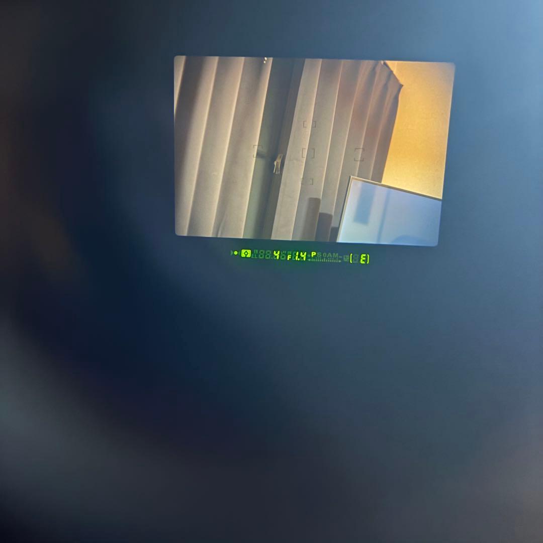 Nikon F100 フィルム一眼レフカメラ　完動品　極美品