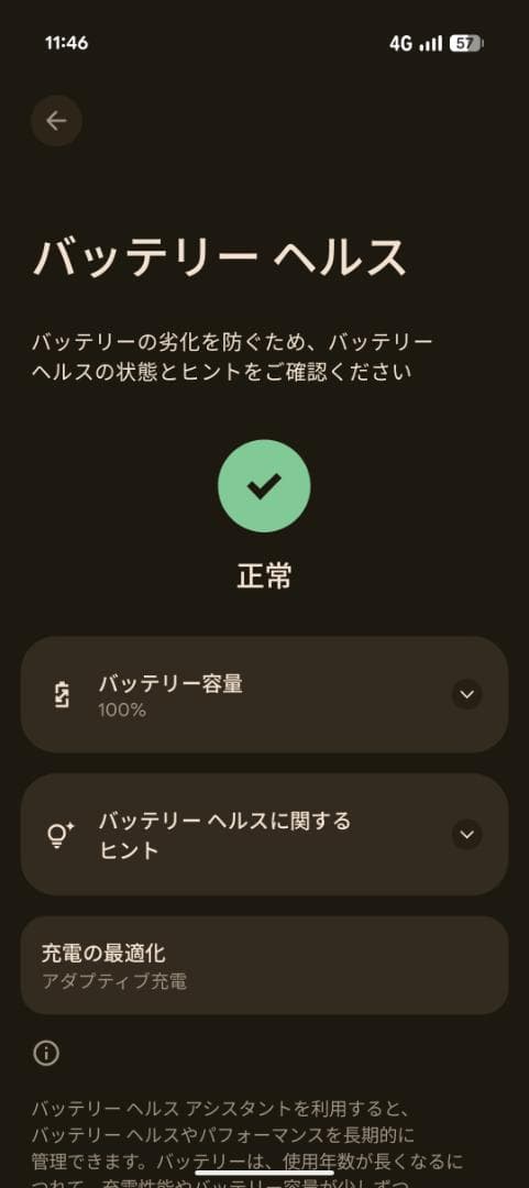 Google Pixel 10 インディゴ(青) 128GB SIMフリー