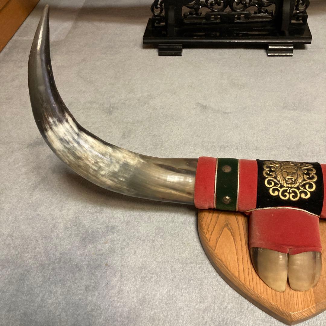 水牛の角　インテリア置物