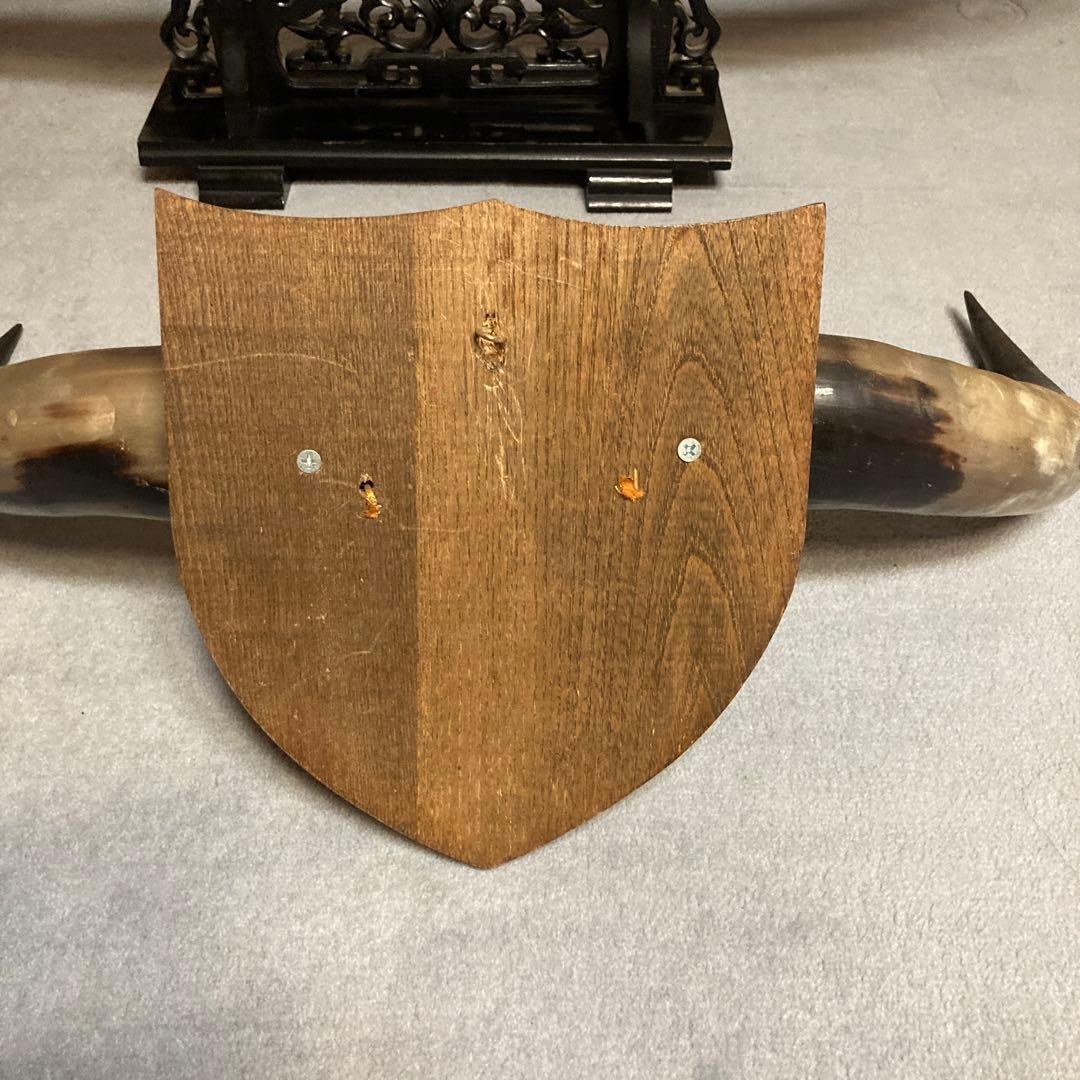 水牛の角　インテリア置物