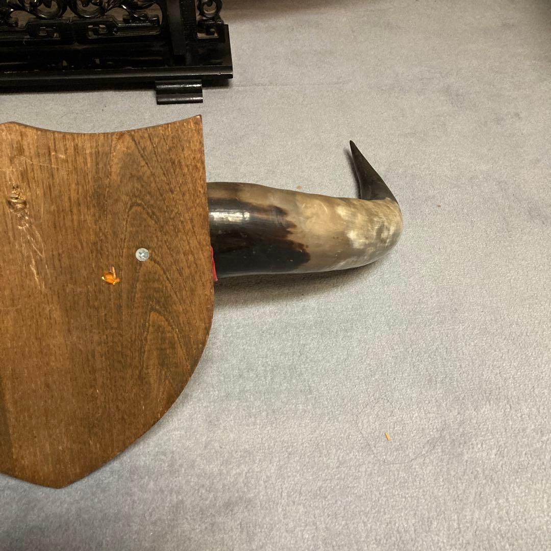 水牛の角　インテリア置物