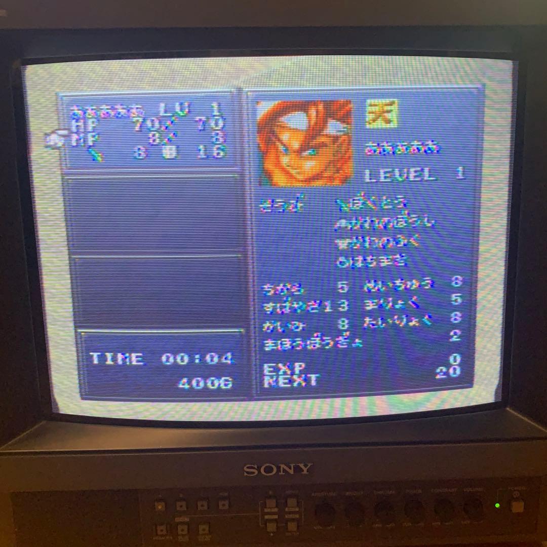 14型トリニトロンカラービデオピクチャーモニター PVM-14M1J SONY