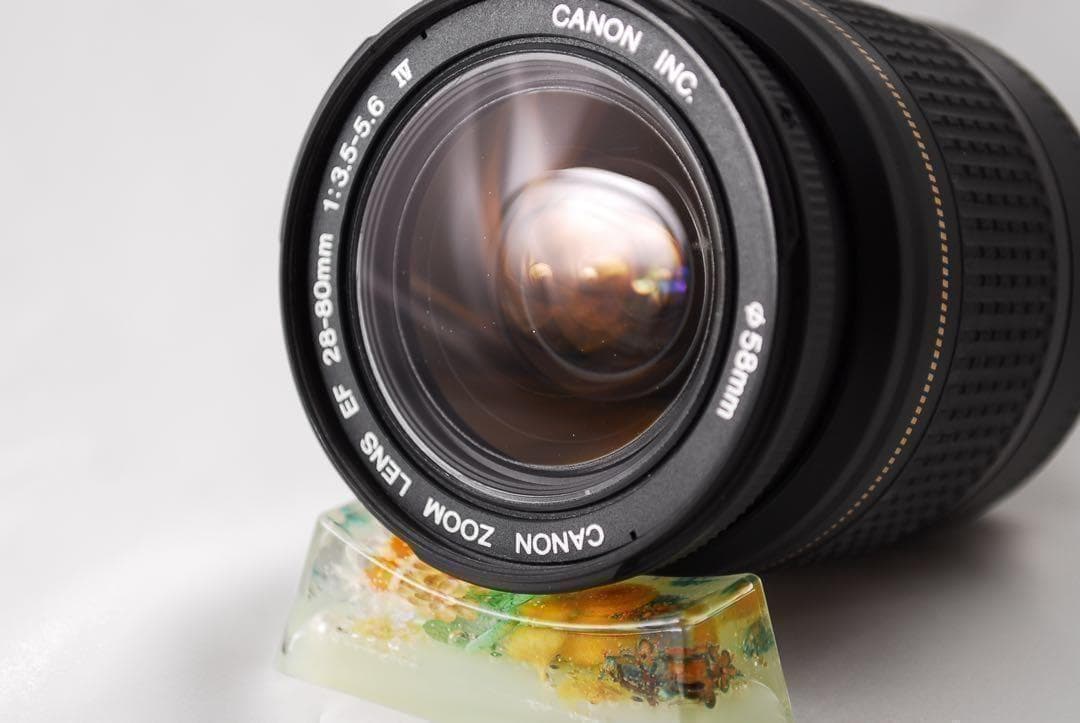 コスパよく一眼レフデビュー✨　Canon EOS Kiss X2 初心者向け