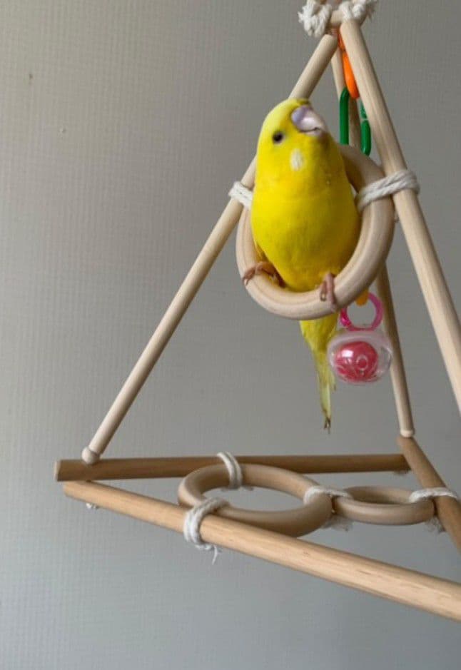 4　バードアスレチック　ブランコ　インコ　バードトイ　止まり木
