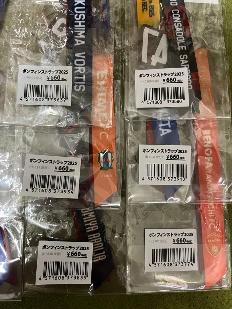 北海道コンサドーレ札幌　2025シーズンホームゲームボンフィン18試合セット