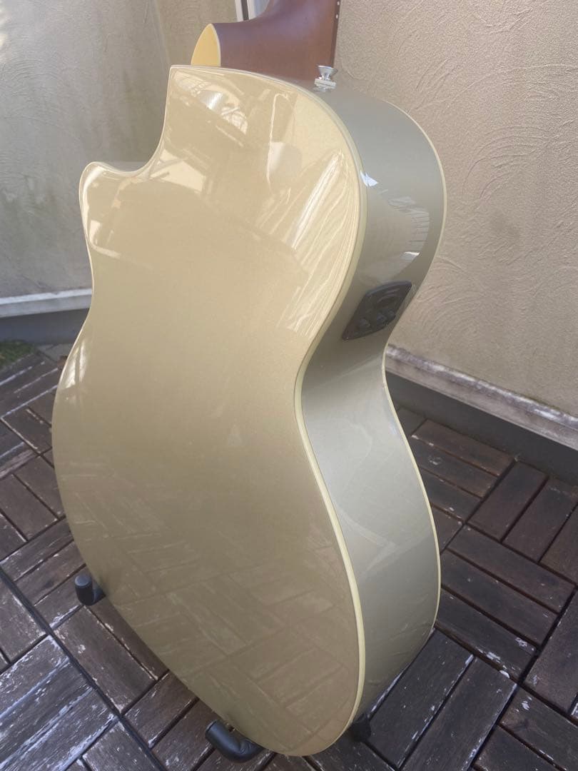 Fender Newporter Player (フェンダーニューポーター)