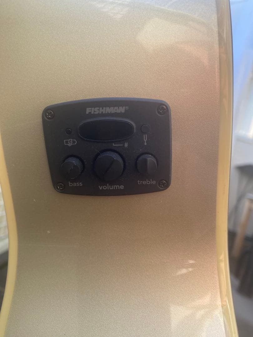 Fender Newporter Player (フェンダーニューポーター)