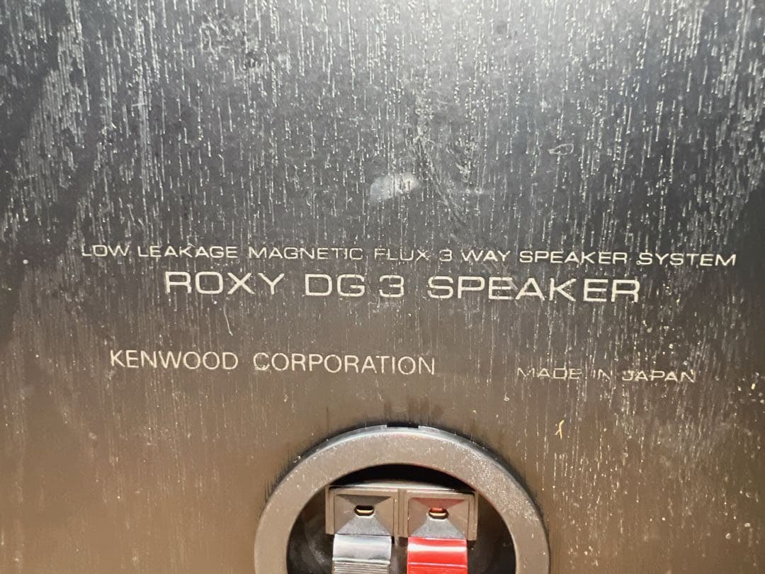 KENWOOD ロクシDG3 通電確認のみ