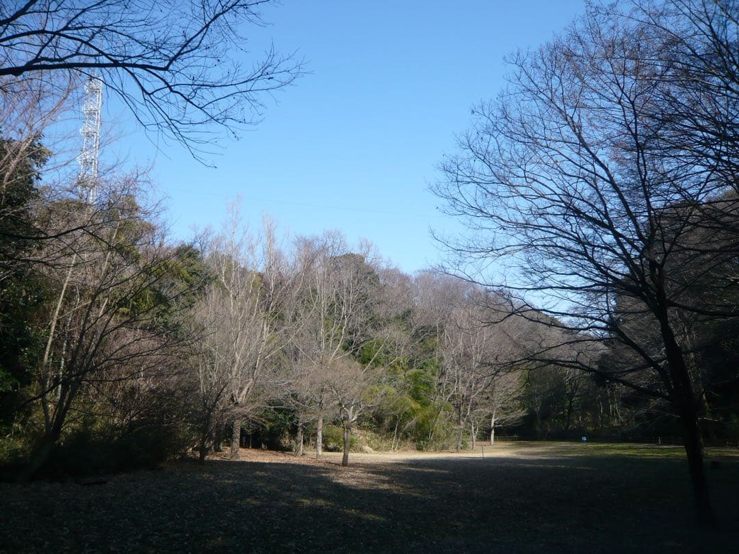 動作確認済み パナソニック LUMIX DMC-FX30-T ブラウン