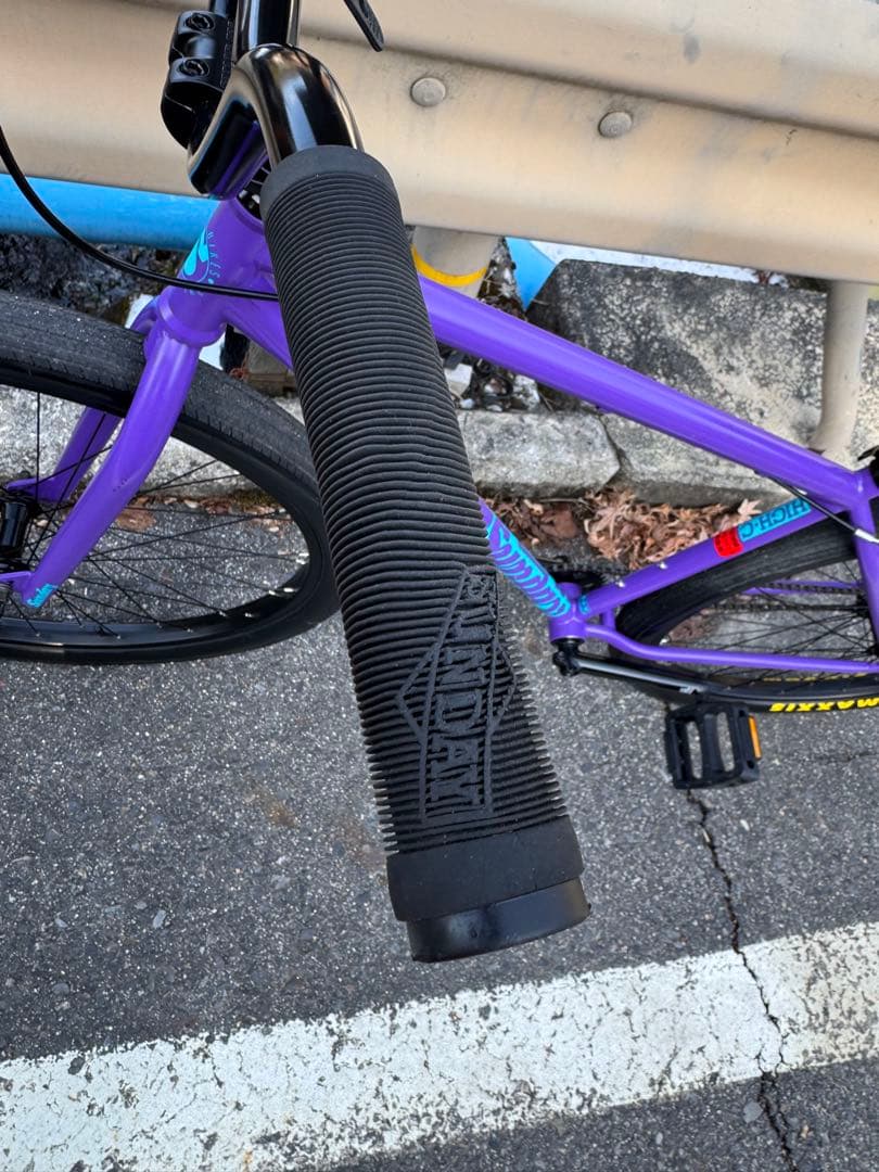 自転車本体 BMX Sunday High C 29 Inch 2025