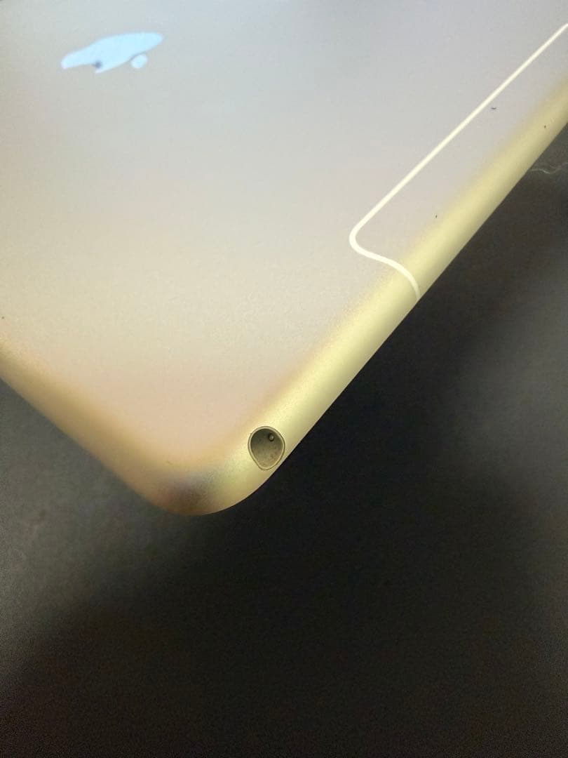 iPadAir3(第3世代)256GB Wi-Fi+Cellular　モヤあり