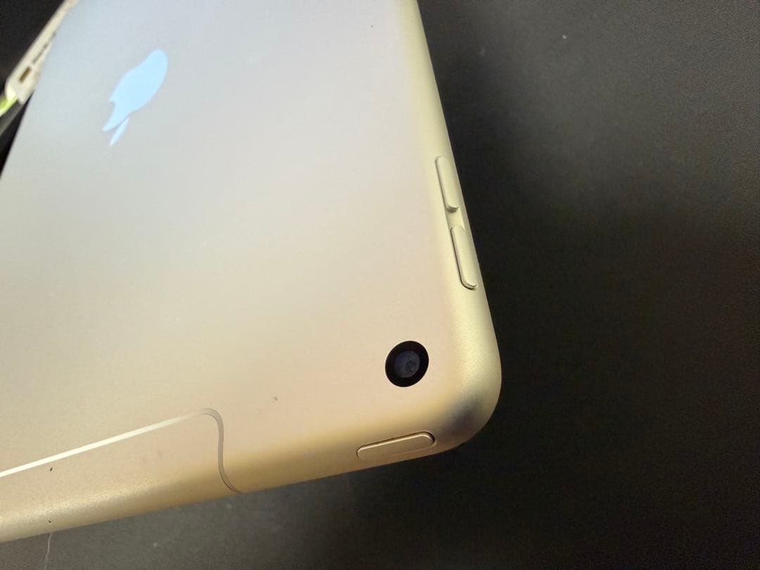 iPadAir3(第3世代)256GB Wi-Fi+Cellular　モヤあり