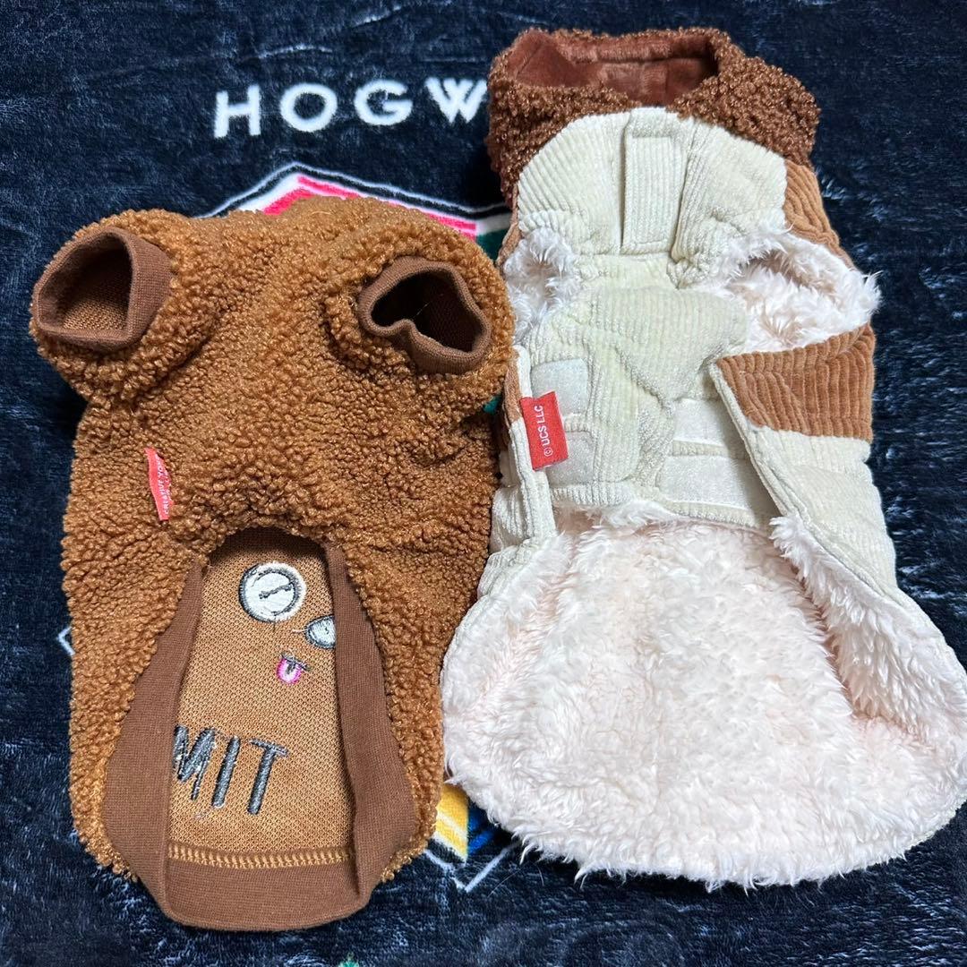 ペットパラダイス　TIM ５枚セット　サイズ3S