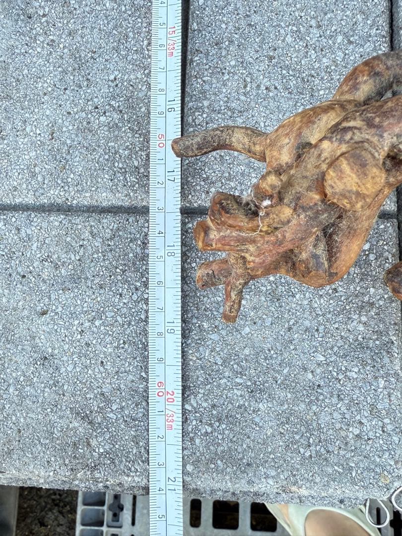 【送料込み】一点モノ★流木　置物　猪　オブジェ　ドリフトウッド　インテリア