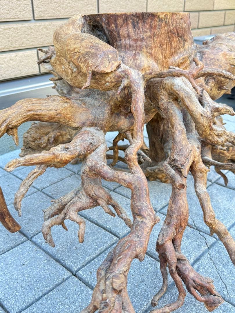 【送料込み】一点モノ★流木　置物　猪　オブジェ　ドリフトウッド　インテリア