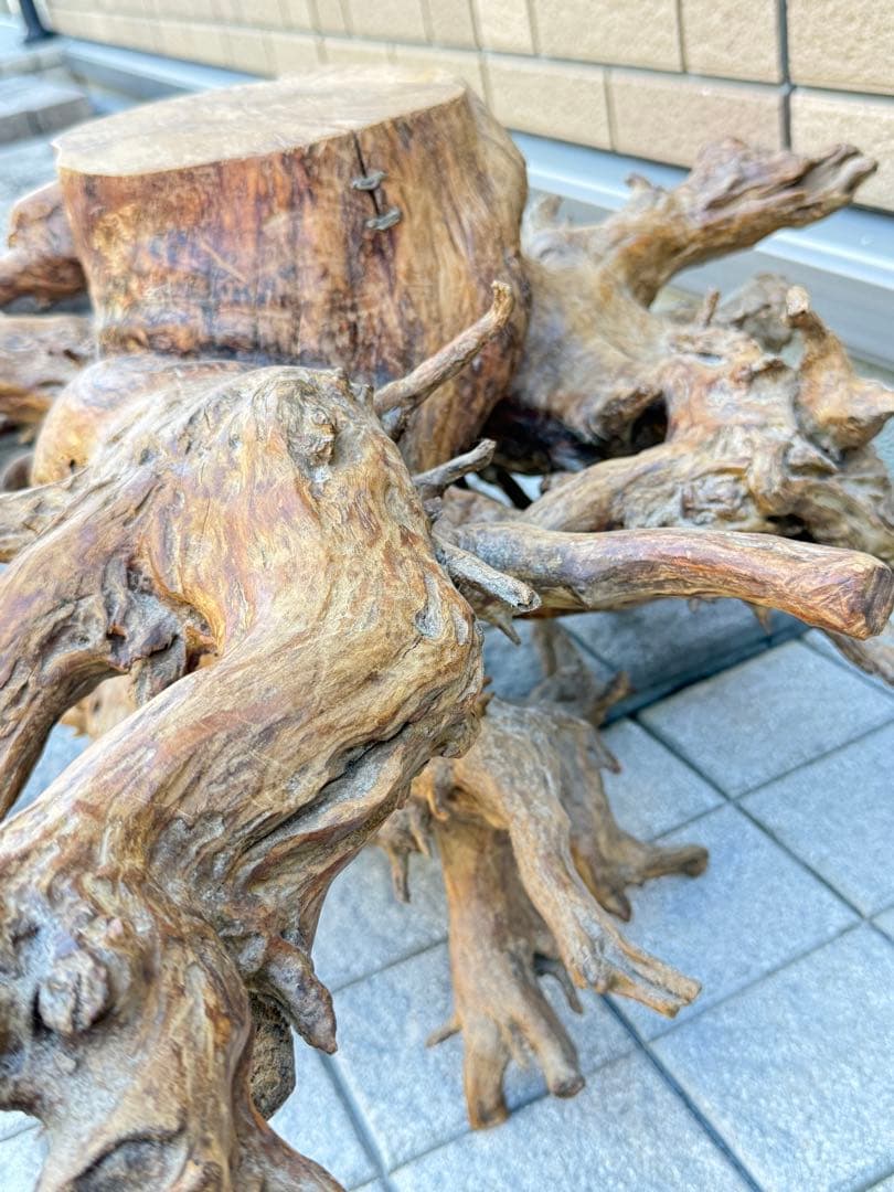 【送料込み】一点モノ★流木　置物　猪　オブジェ　ドリフトウッド　インテリア