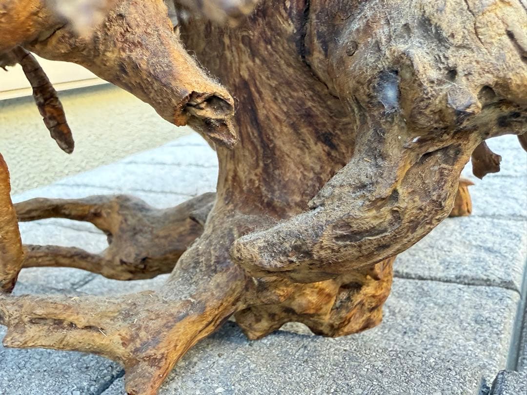 【送料込み】一点モノ★流木　置物　猪　オブジェ　ドリフトウッド　インテリア