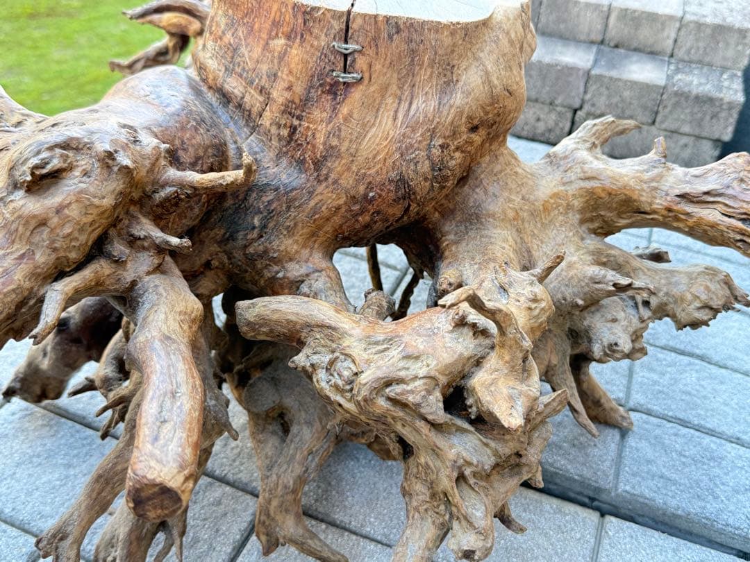 【送料込み】一点モノ★流木　置物　猪　オブジェ　ドリフトウッド　インテリア