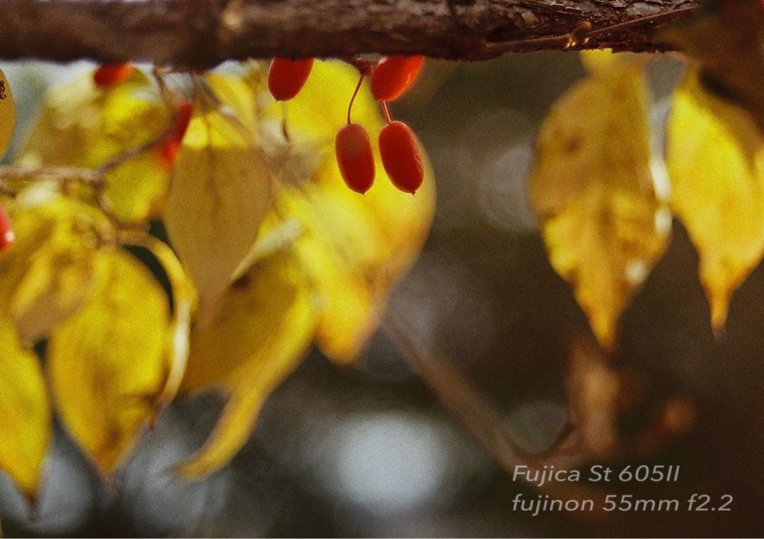 ★完動品＊美品＊初期保証★フジカ　st605ⅱ／フジノン55mm f2.2