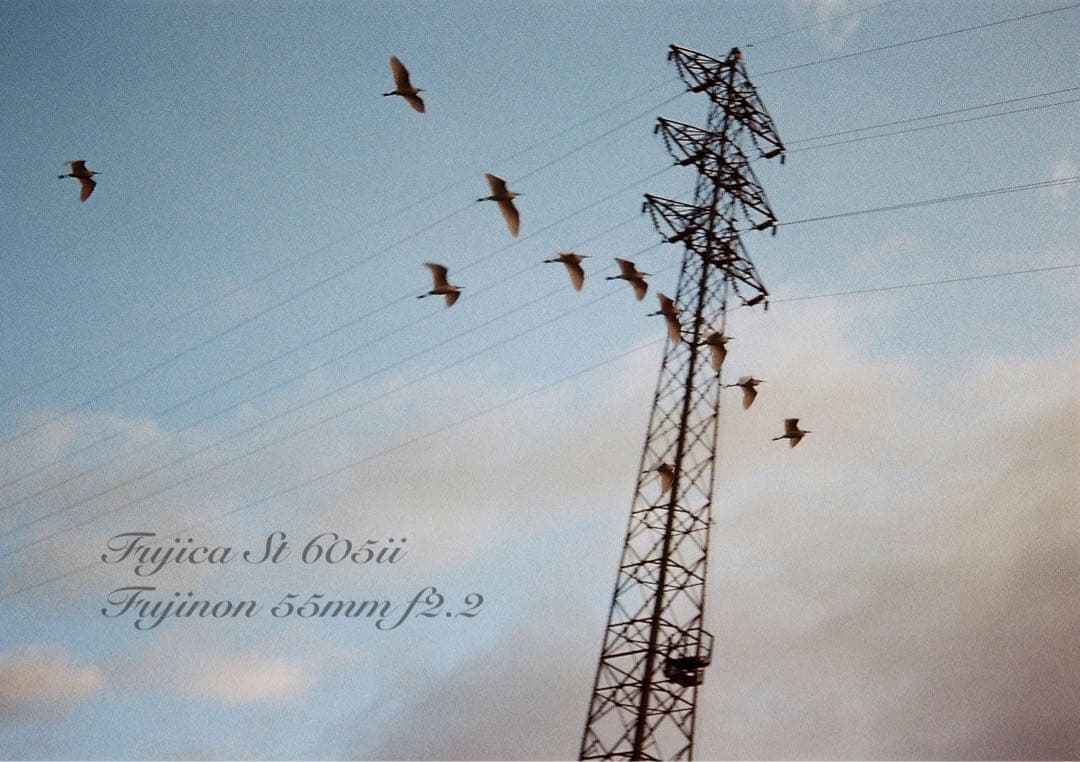 ★完動品＊美品＊初期保証★フジカ　st605ⅱ／フジノン55mm f2.2