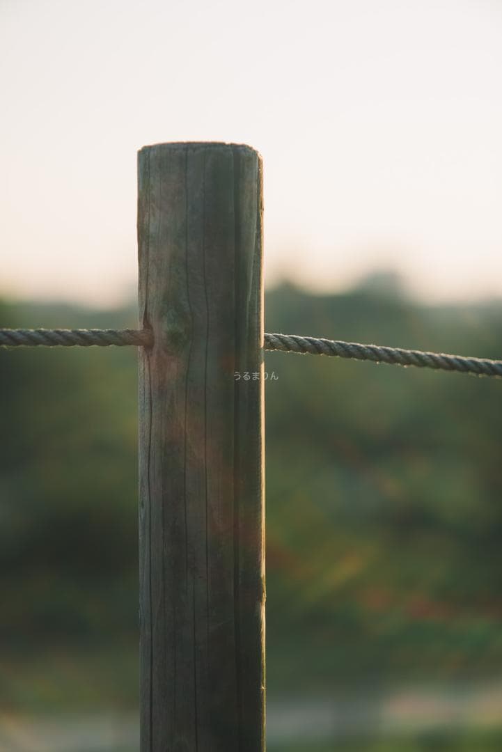 木村文乃使用モデル！Leica Elmarit 90mm F2.8オールドレンズ