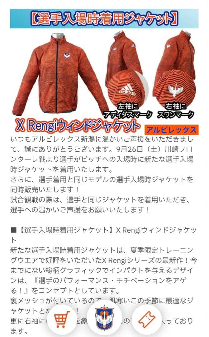 【レア】アルビレックス新潟　ウィンドジャケット　アディダス　L