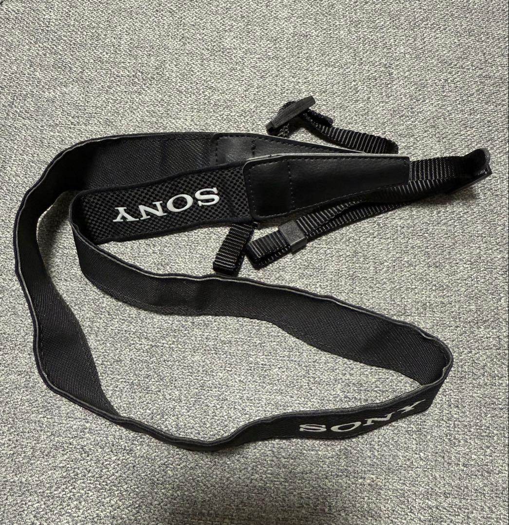 SONY α6000 ミラーレス一眼カメラ 本体