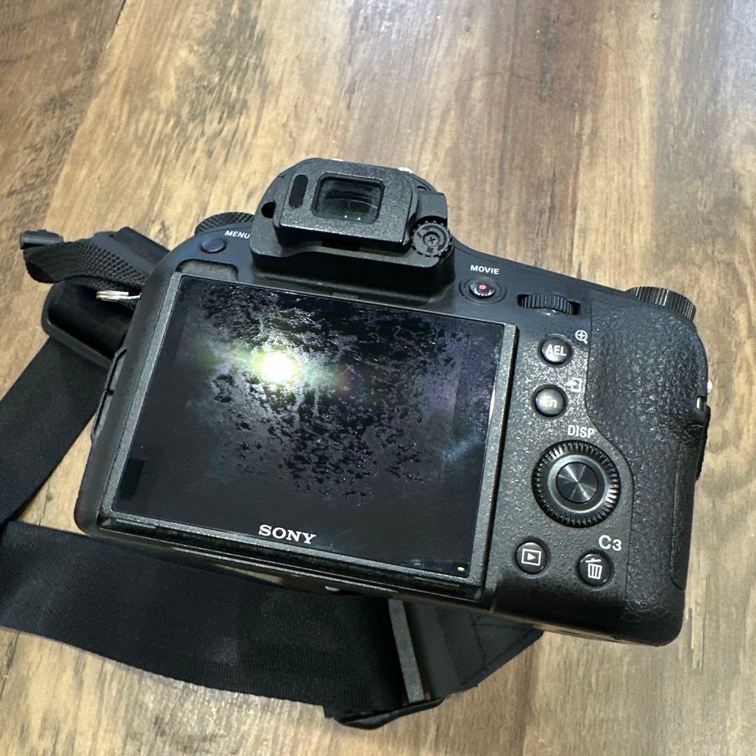 Sony DSC-RX10M3 24-600mm デジタルカメラ バッテリー複数