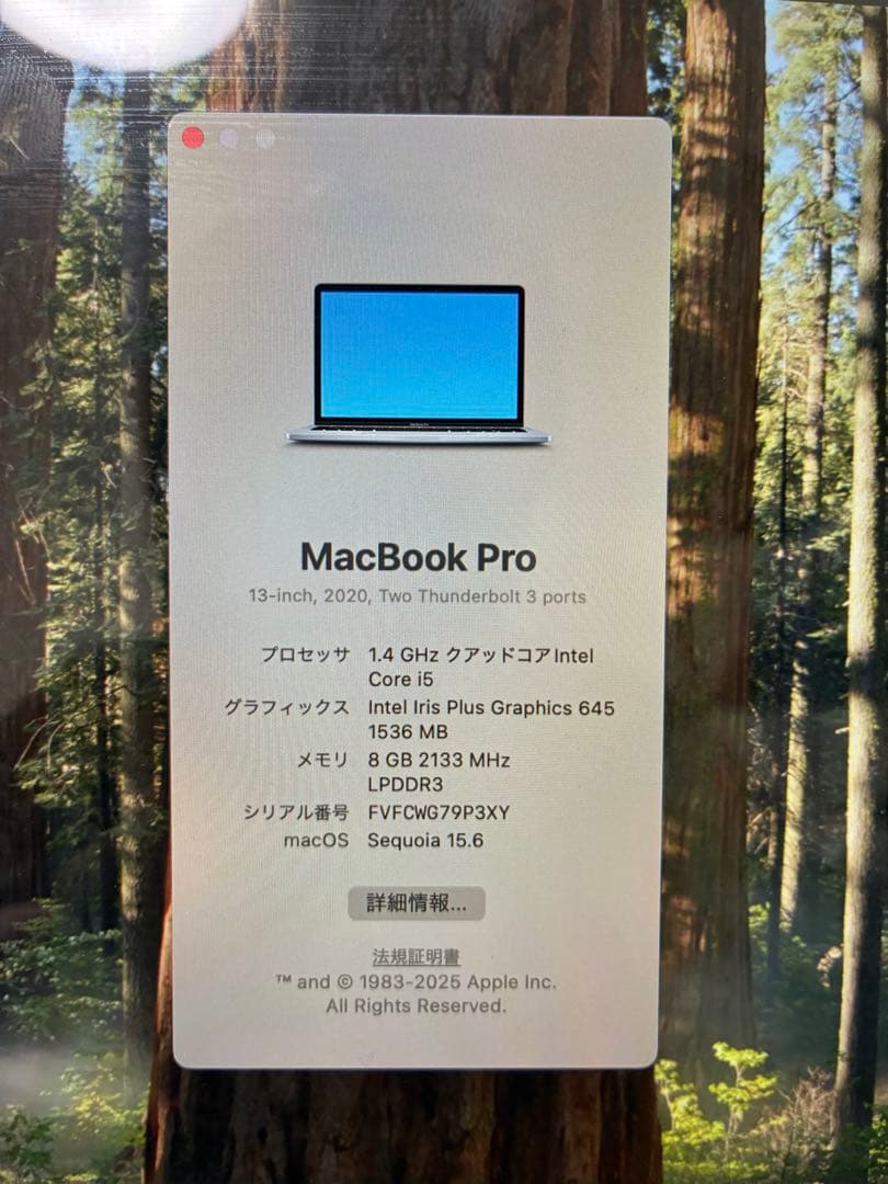 【美品】MacBook Pro 13インチ Core i5 256GB 8GB