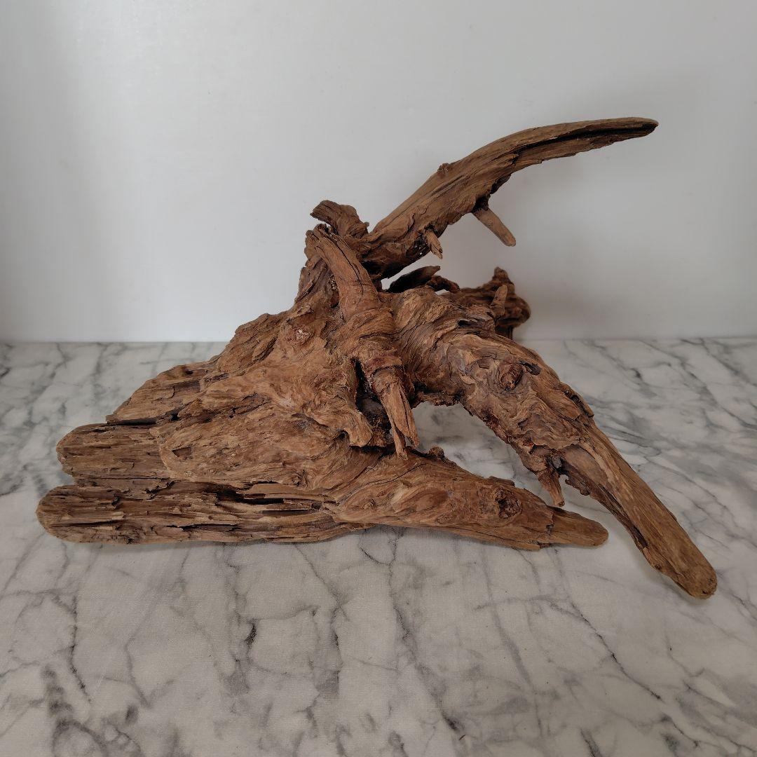 アク抜き済み流木【41】