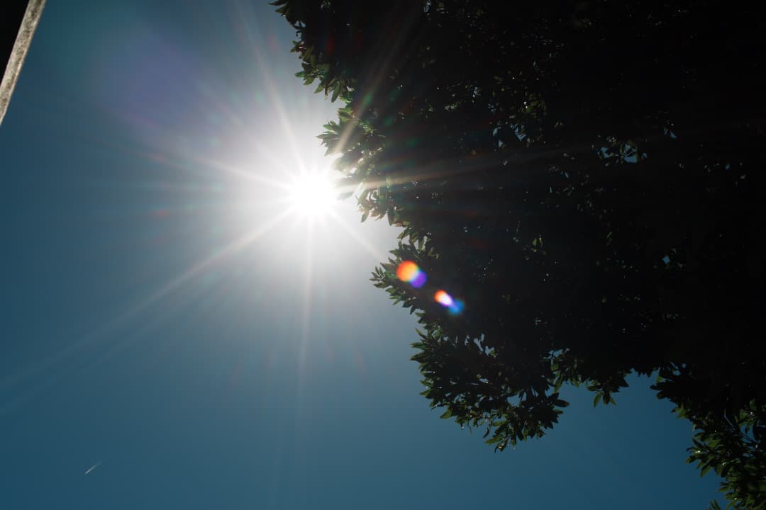 【極美品】Nikon Ai Nikkor 35mm F2 ニコン 353