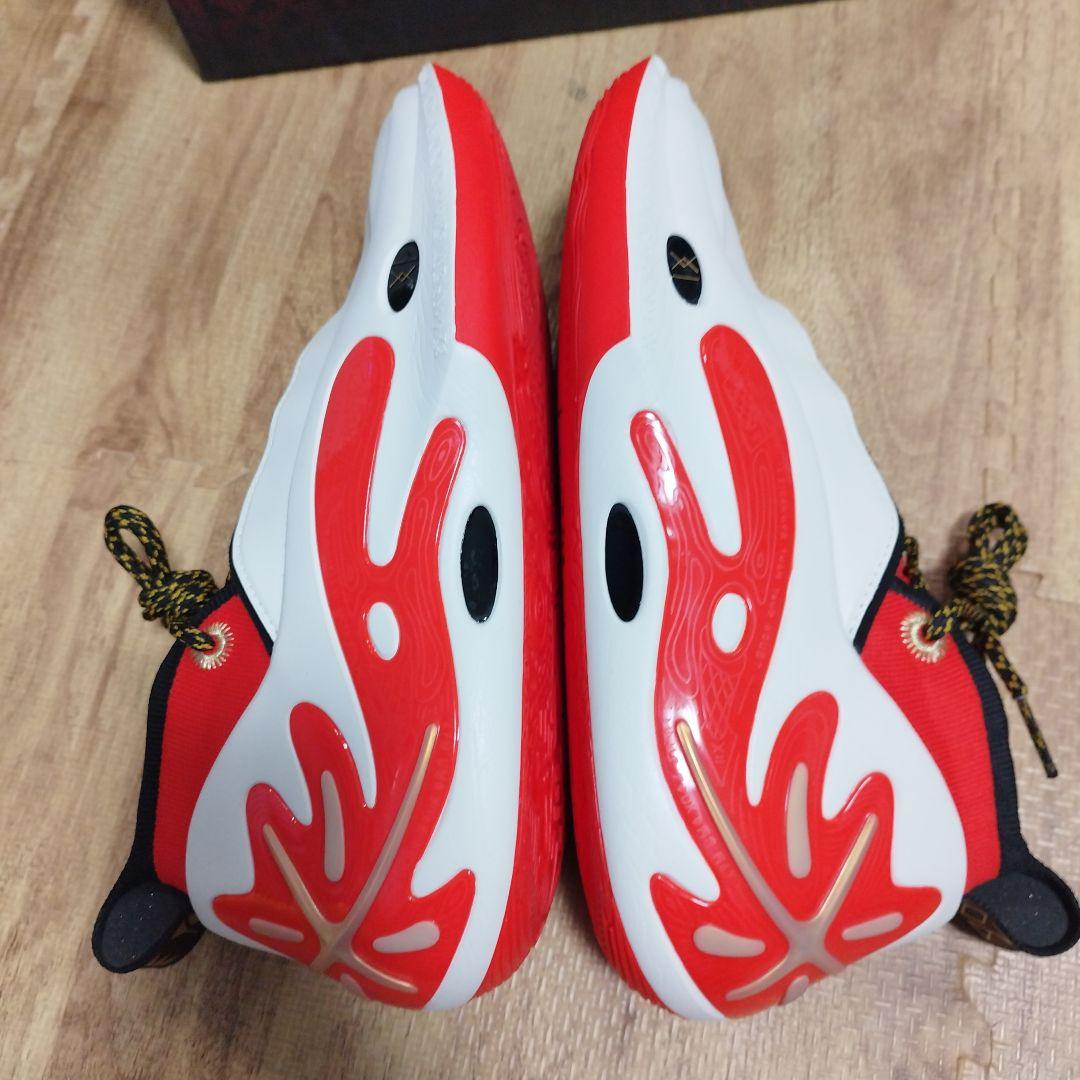 h*e様 Li-NING Way of Wade 11 US10.5 自宅にて試