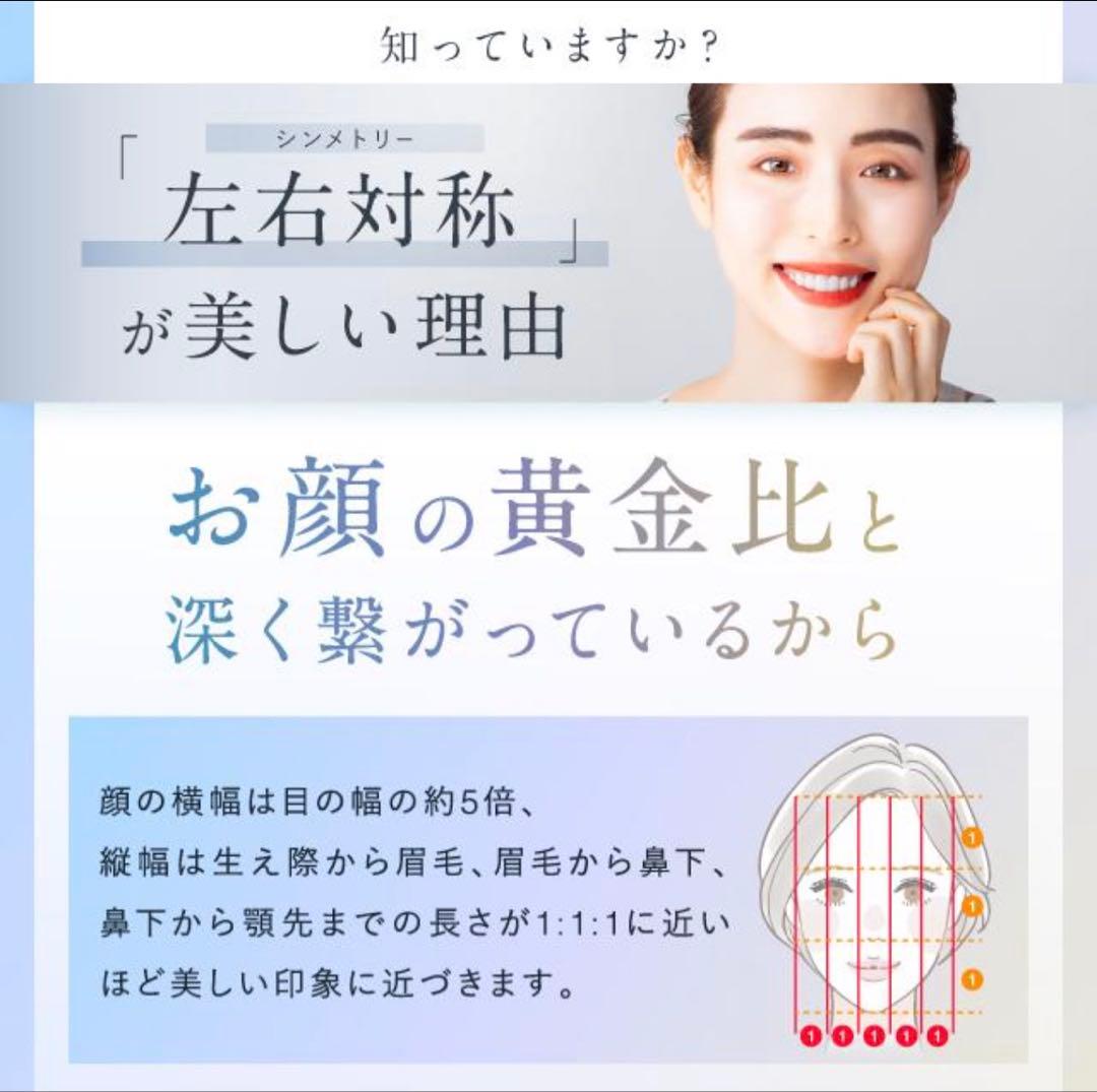 NIPLUX 美顔ローラー EMS RF波 8個ローラー