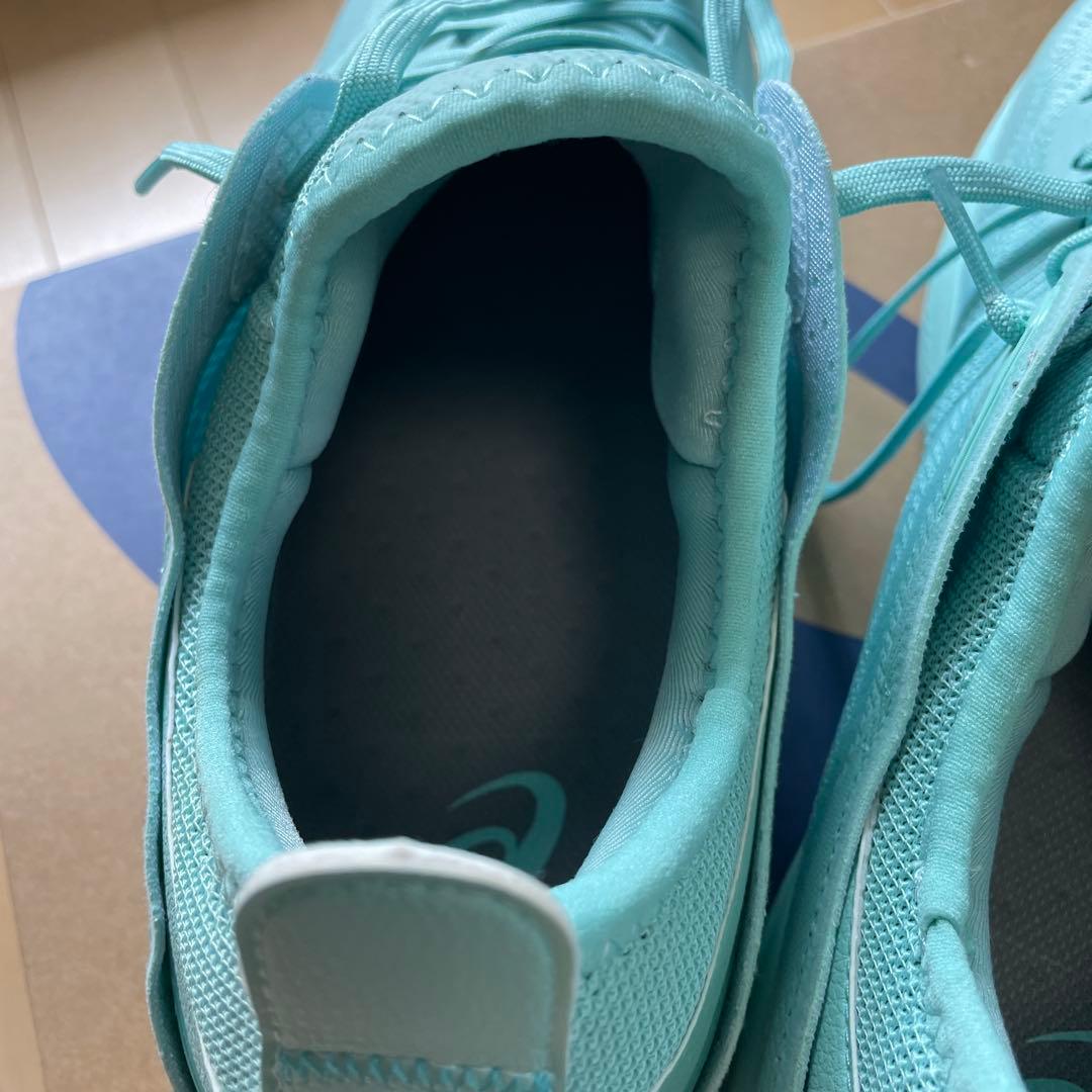 ASICS　GLIDE NOVA FF3 30cm