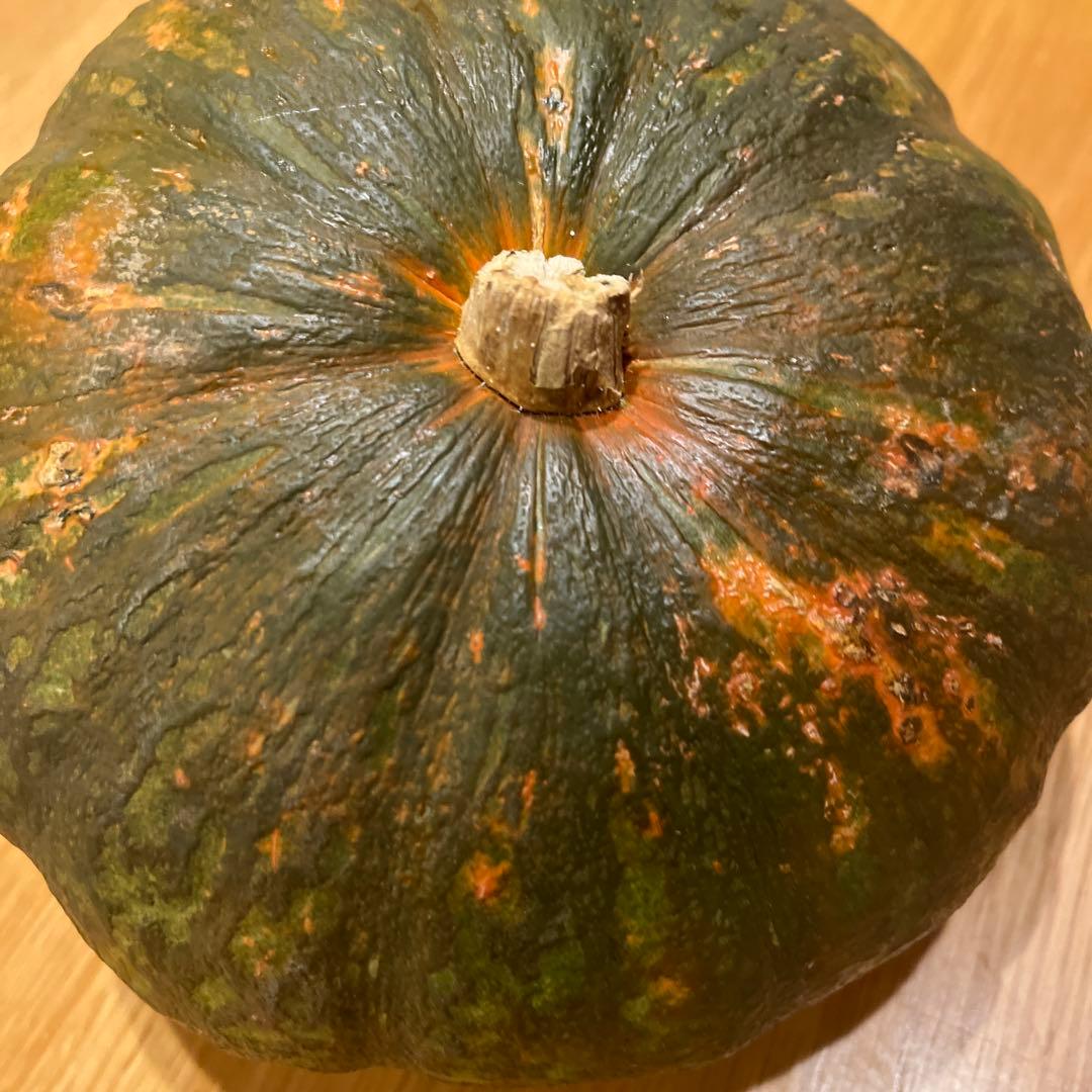 魔法のカボチャ「馬車になります」