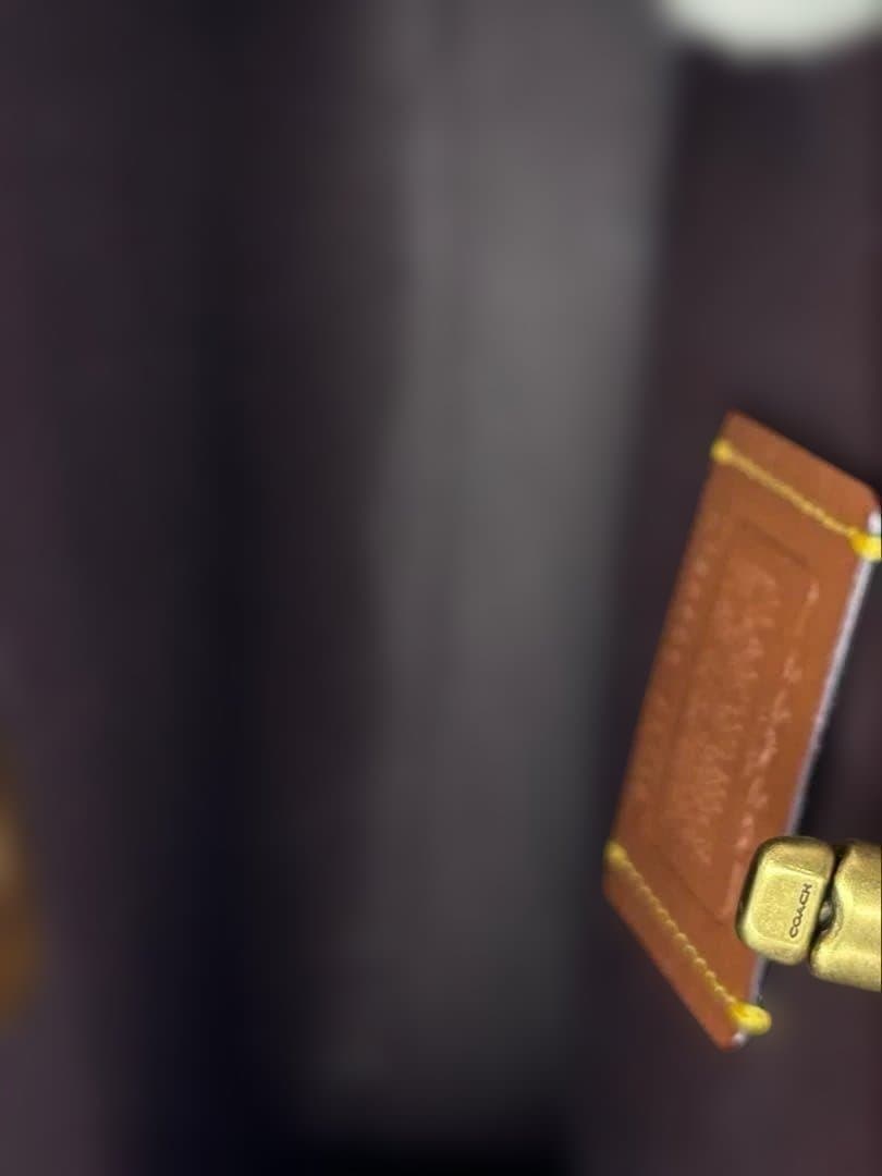 未使用COACHコーチウィロウ ハンドバッグ クロコダイル エンボス 2way