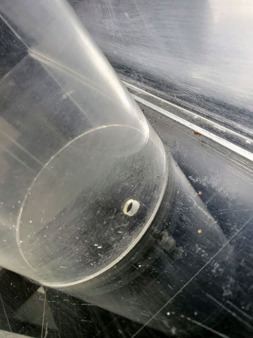 特注No3 水槽 オールクリア W120×D45×H45cm 値下げ不可