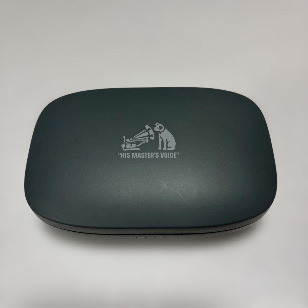 Victor nearphones HA-NP50T-G セージグリーン