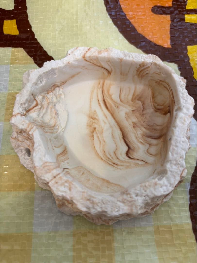 爬虫類飼育ケージセット