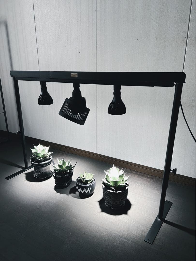 ☆送料込み☆ライトレールスタンド0.5m即購入OK 育成管理　アガベ　塊根　什器