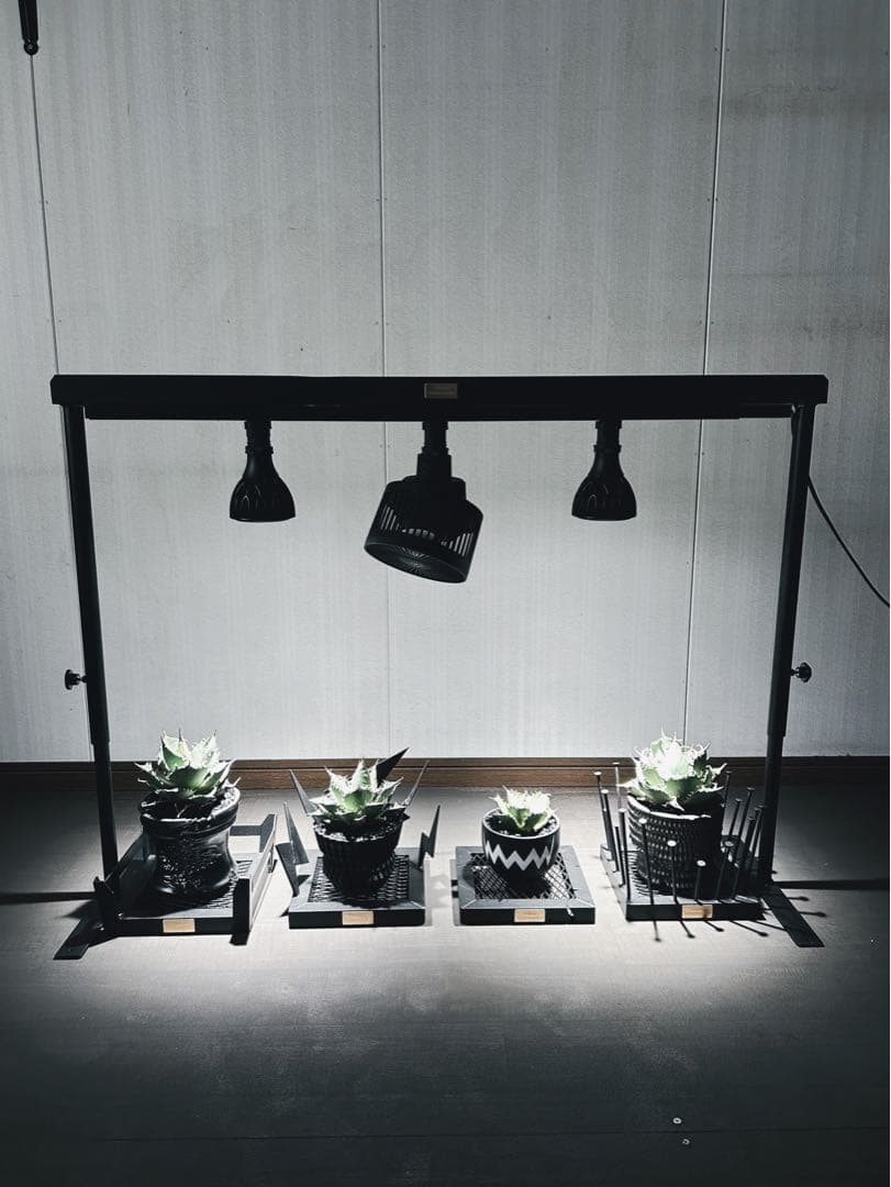 ☆送料込み☆ライトレールスタンド0.5m即購入OK 育成管理　アガベ　塊根　什器