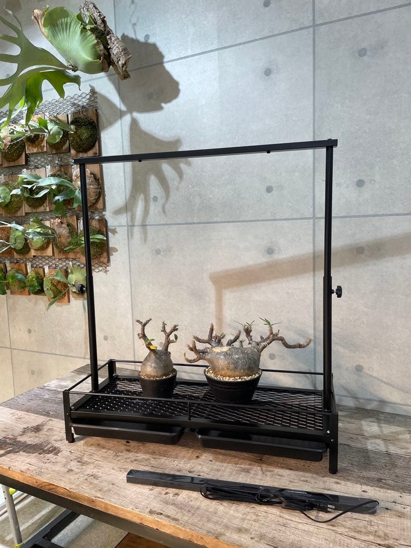 完成品　給水トレイ付　アイアン　植物棚　ダクトレール付　シェルフ