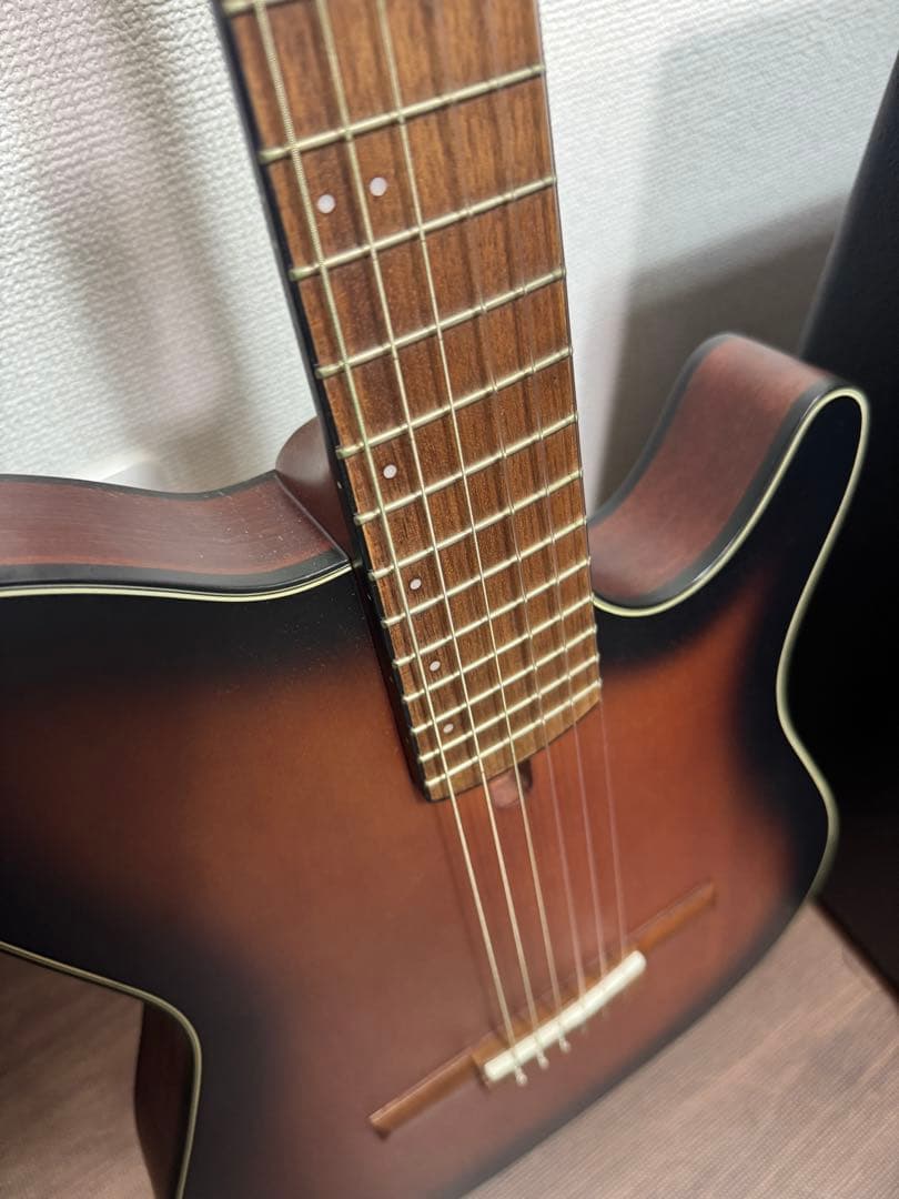 d*g様 Ibanez FRH10N BSF エレガットギター アイバニーズ　ケ