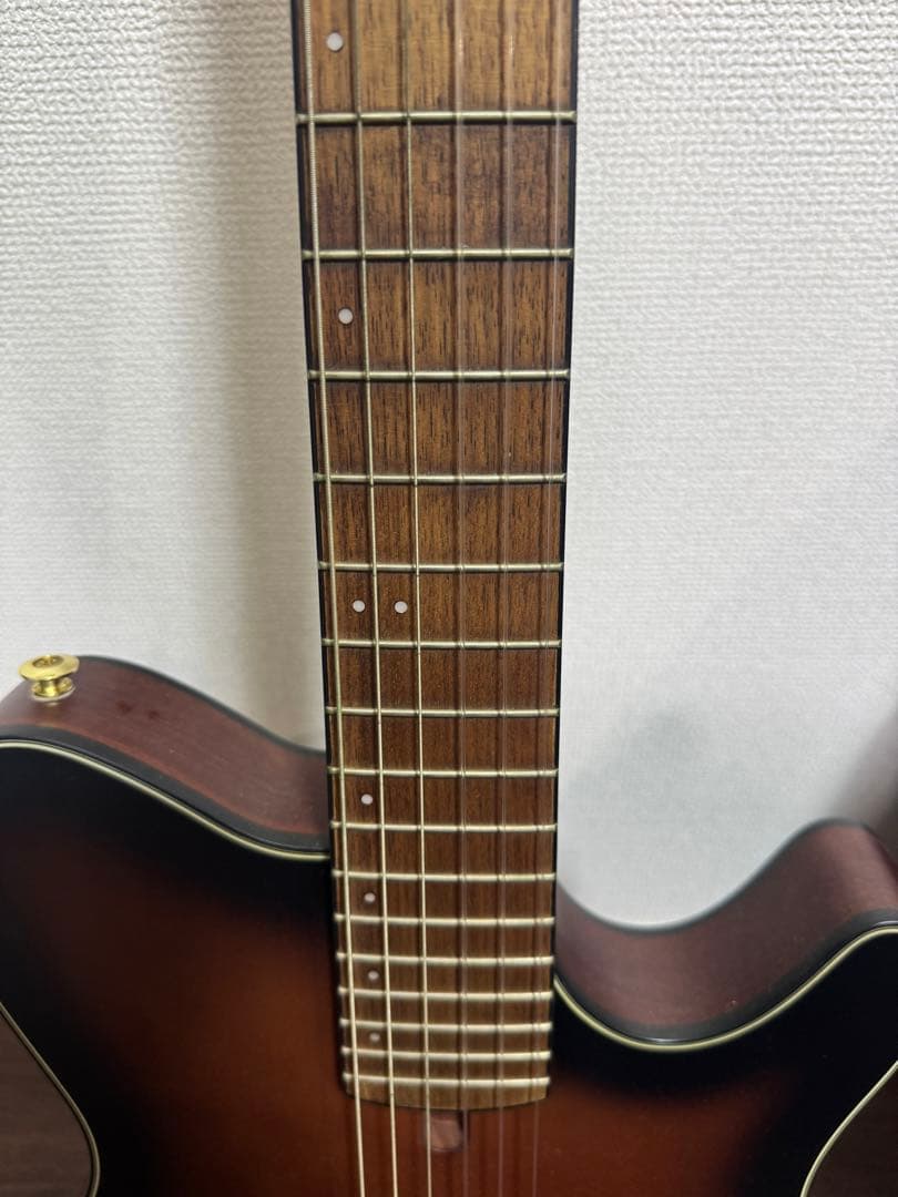 d*g様 Ibanez FRH10N BSF エレガットギター アイバニーズ　ケ