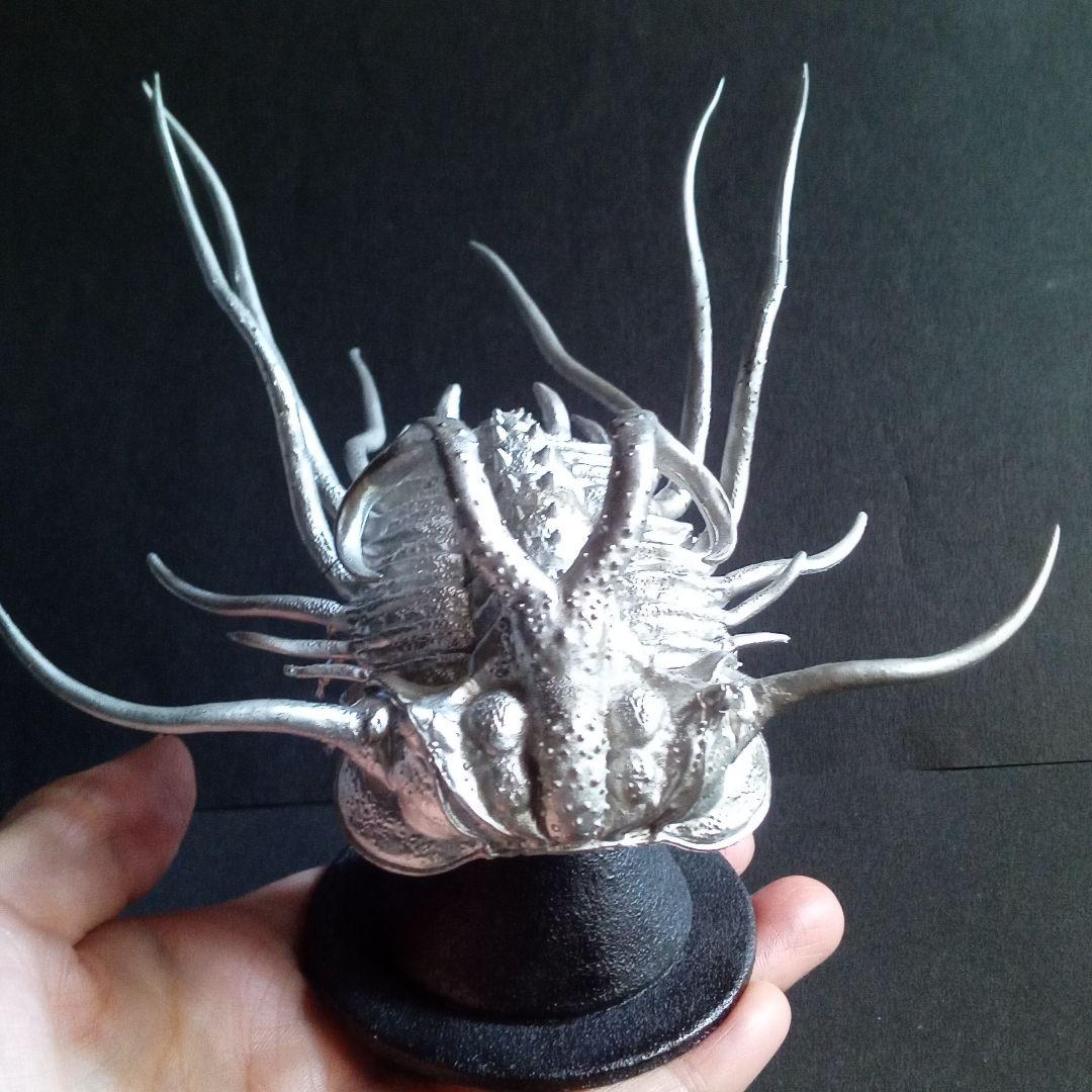 ディクラヌルス　モンストローサス