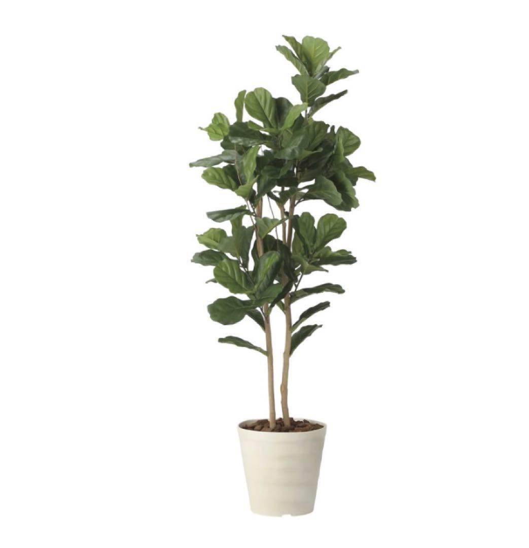 光触媒　人工観葉植物　ウォールグリーン　フェイクグリーン　カシワバゴム1.8